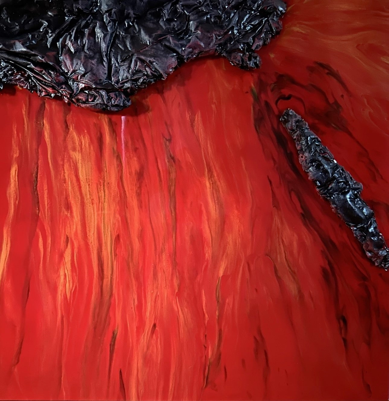 Phoenix of The Earth